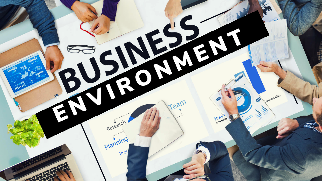 which of these are elements of the business environment